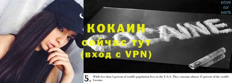 МЕГА сайт  Котово  КОКАИН VHQ 